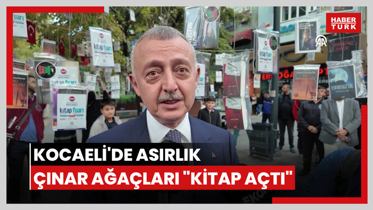 Kocaeli'de asırlık çınar ağaçları "kitap açtı"