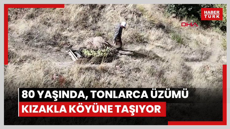 80 yaşında, her yıl tonlarca üzümü kızakla köyüne taşıyor