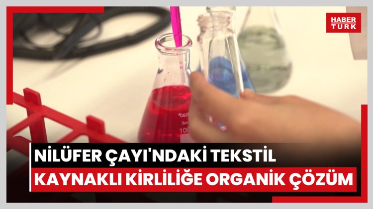 Nilüfer Çayı'ndaki tekstil kaynaklı kirliliğe organik çözüm