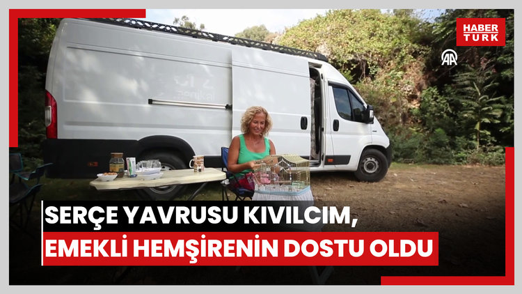 Serçe yavrusu "Kıvılcım" emekli hemşirenin yoldaşı oldu