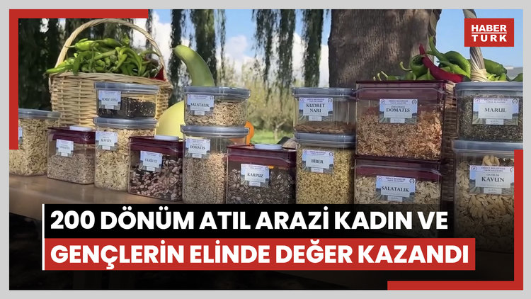 Düzce'de 200 dönüm atıl arazi kadın ve gençlerin elinde değer kazandı