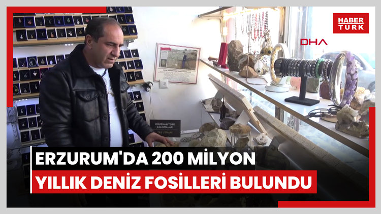 Erzurum'da 200 milyon yıllık deniz fosilleri bulundu