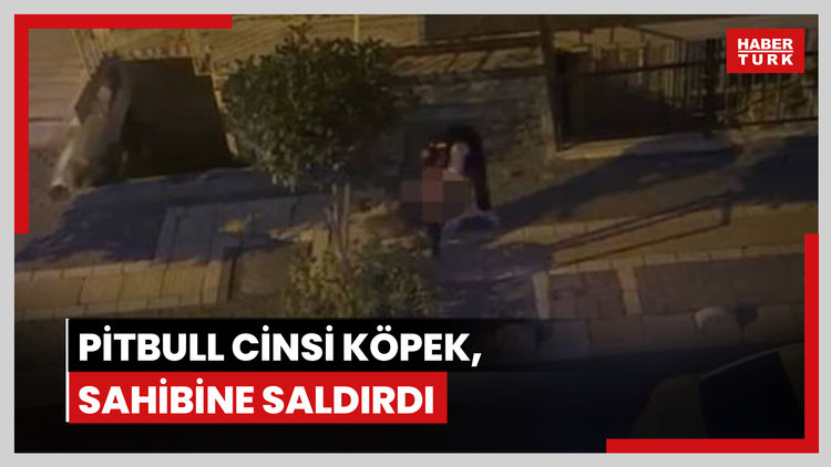 Bahçelievler'de Pitbull cinsi köpek, sahibine saldırdı