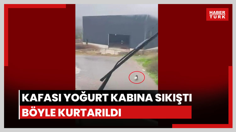 Yavru köpeği böyle kurtardı