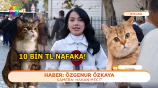 Bir tuhaf boşanma sözleşmesi!