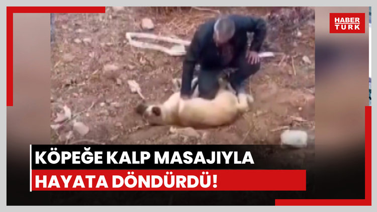 Köpeği kalp masajıyla hayata döndürdü!