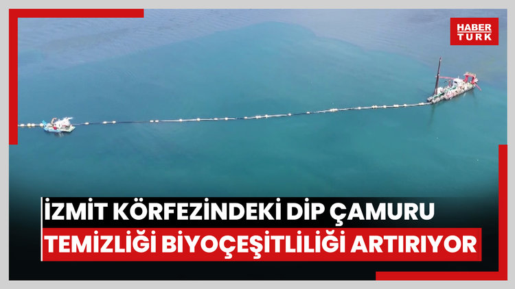 İzmit Körfezindeki dip çamuru temizliği biyoçeşitliliği artırıyor