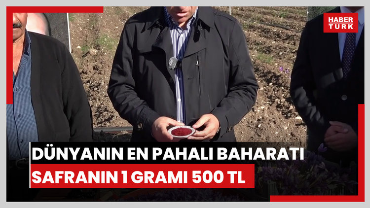 Dünyanın en pahalı baharatı safranın 1 gramı 500 TL