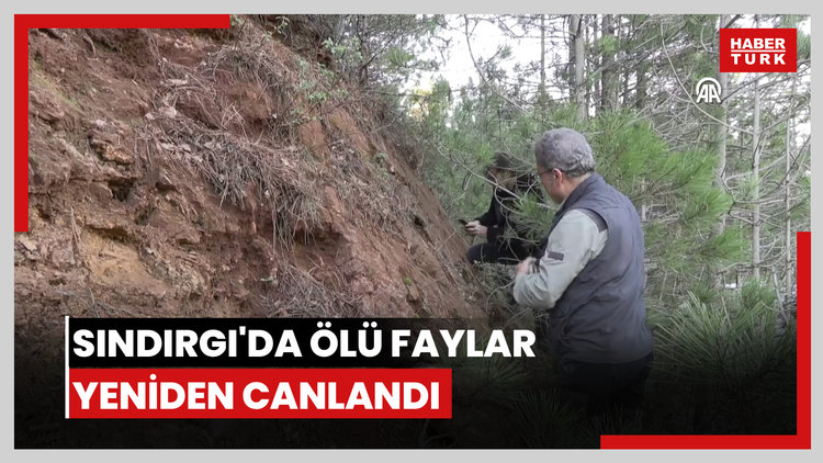 Sındırgı depremlerinin "ölü" fayların yeniden aktifleşmesiyle meydana geldiği belirlendi