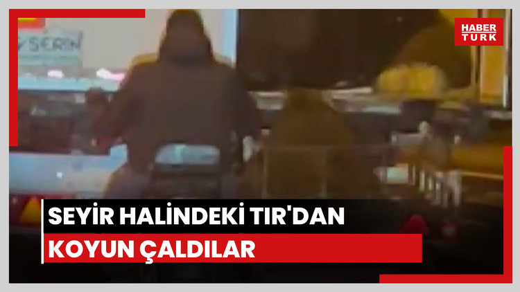 Seyir halindeki TIR'dan koyun çaldılar