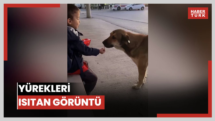 Yürekleri ısıtan görüntü