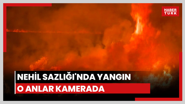 Nehil Sazlığı'nda yangın