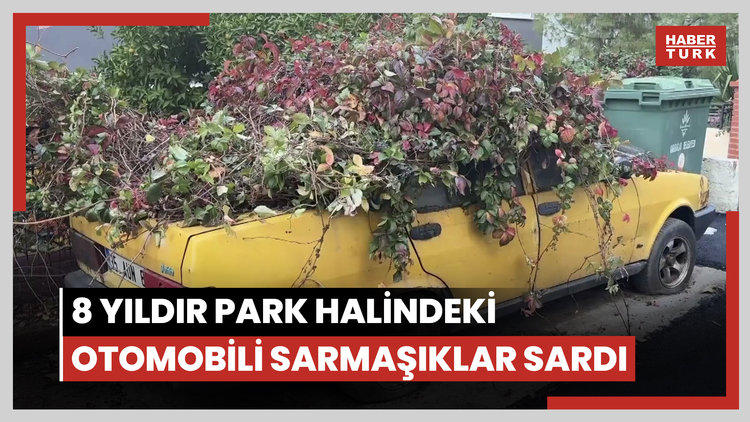 8 yıldır park halindeki otomobili sarmaşıklar sardı