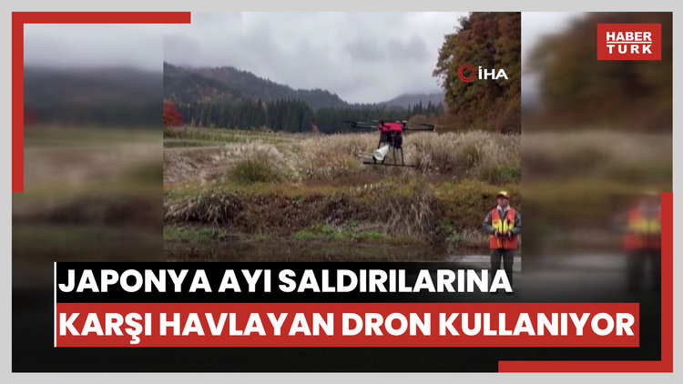 Japonya'da ayı saldırılarını önlemek için "havlayan dron" kullanılmaya başlandı