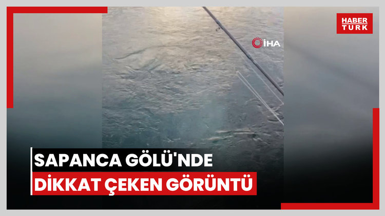 Sapanca Gölü'nde dikkat çeken görüntü