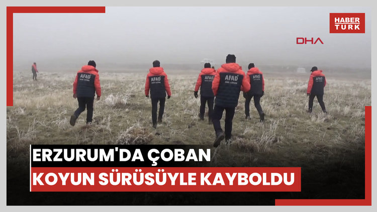 Yoğun sisin etkili olduğu Erzurum'da çoban koyun sürüsüyle kayboldu