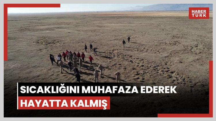 Çoban kendisini koyunların arasında sıcaklığını muhafaza ederek hayatta kalmış