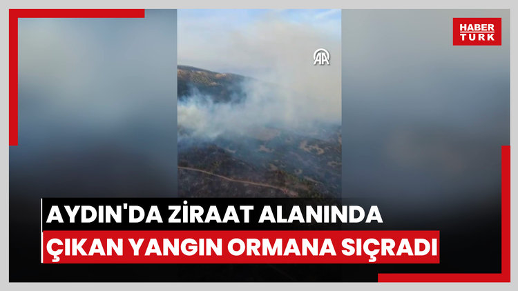 Ziraat alanında çıkan yangına müdahale ediliyor