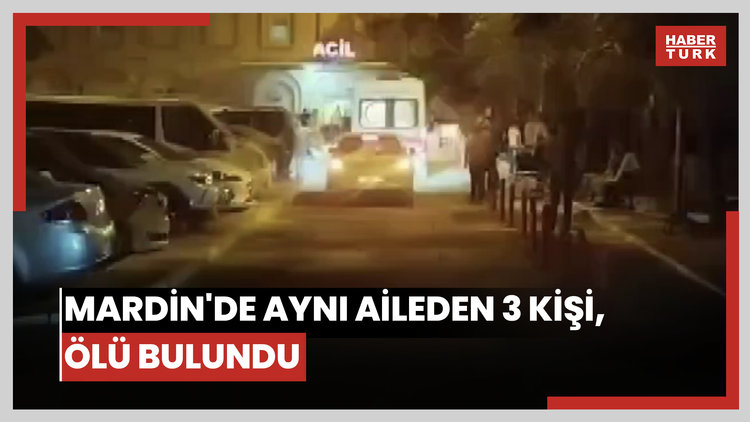 Mardin'de aynı aileden 3 kişi, başından silahla vurulmuş halde ölü bulundu