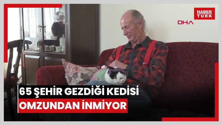 12 yıl önce sahiplenip birlikte 65 şehir gezdiği kedisi omzundan inmiyor