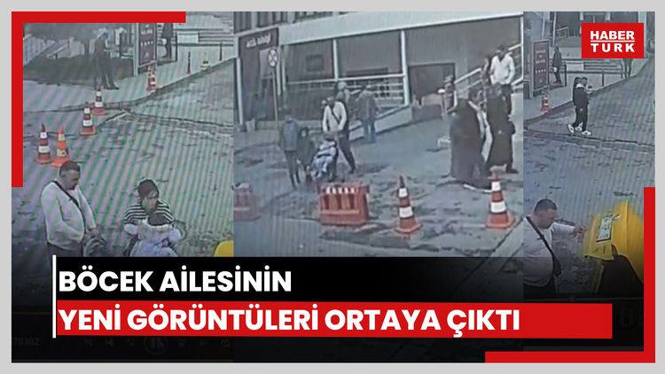 Böcek ailesinin yeni görüntüleri ortaya çıktı