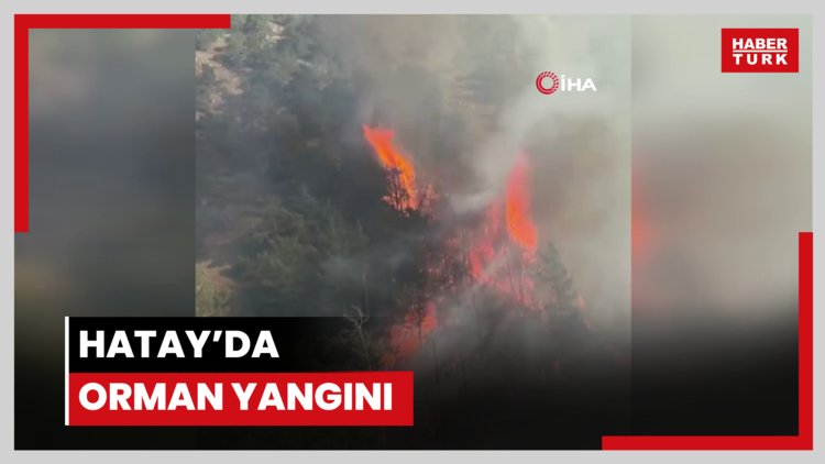 Hatay'da orman yangını