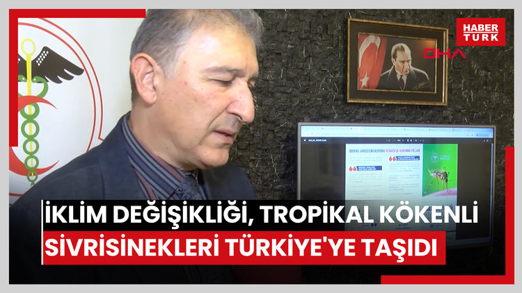 İklim değişikliği, tropikal kökenli sivrisinekleri Türkiye'ye taşıdı