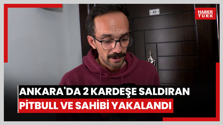 Ankara'da 2 kardeşe saldıran pitbull ve sahibi yakalandı