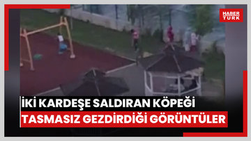 Ankara'da iki kardeşe saldıran pitbullun sahibinin, köpeğini tasmasız ve ağızlıksız şekilde gezdirdiği görüntüler ortaya çıktı