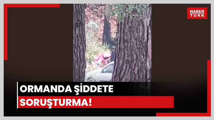 Ormanlık alanda darp!