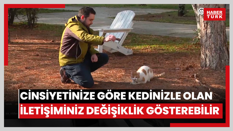 Kedilerin insanlarla iletişimi sahibinin cinsiyetine göre değişiklik gösterebiliyor