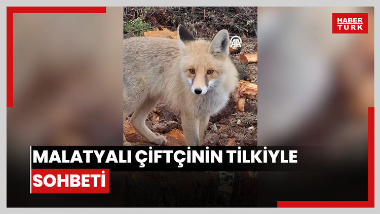 Malatyalı çiftçinin tilkiyle sohbeti cep telefonu kamerasına yansıdı