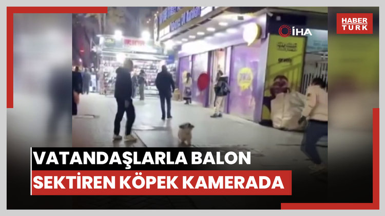 Vatandaşlarla balon sektiren köpek kamerada