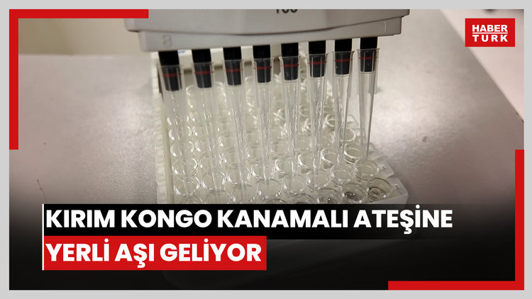 TURKOVAC'ın mimarlarından yeni müjde: Kırım Kongo Kanamalı Ateşine yerli aşı geliyor