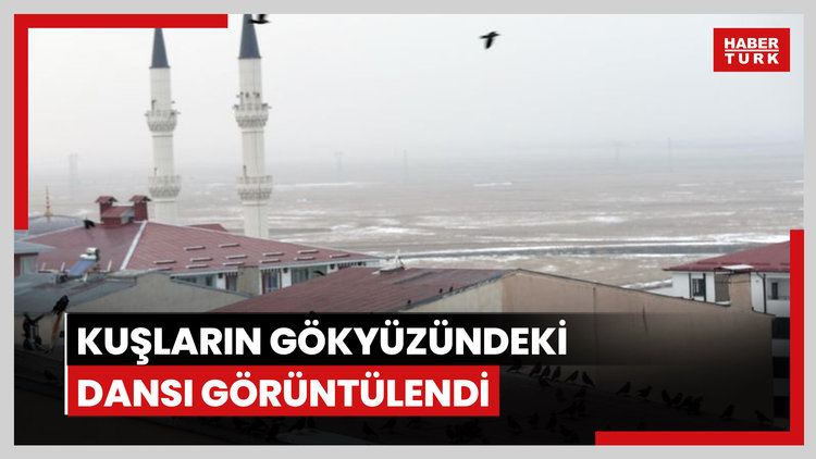 Kuşların gökyüzündeki dansı görüntülendi