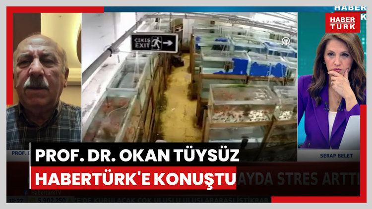 Prof. Dr Okan Tüysüz olası İstanbul depremini değerlendirdi