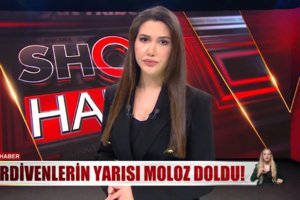 Kontrolden çıkan bir yıkım daha!