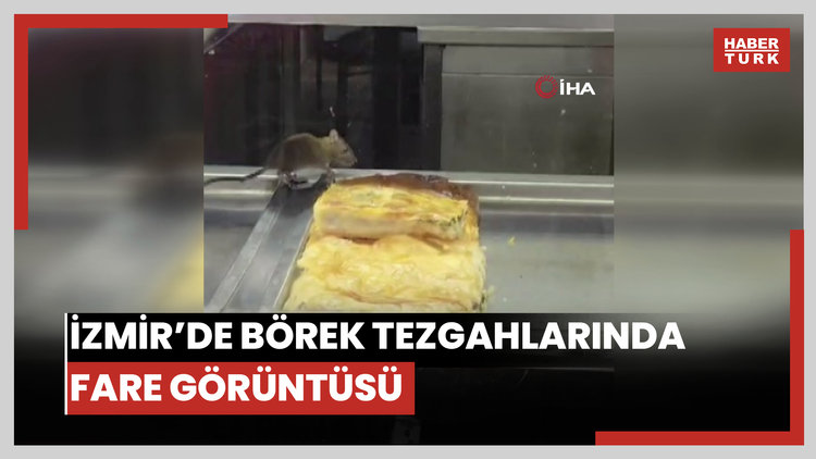 İzmir'de mide bulandıran görüntü: Börek tezgahlarında fare cirit attı
