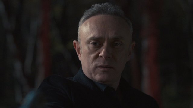 Vezir, Timur'u vuruyor!