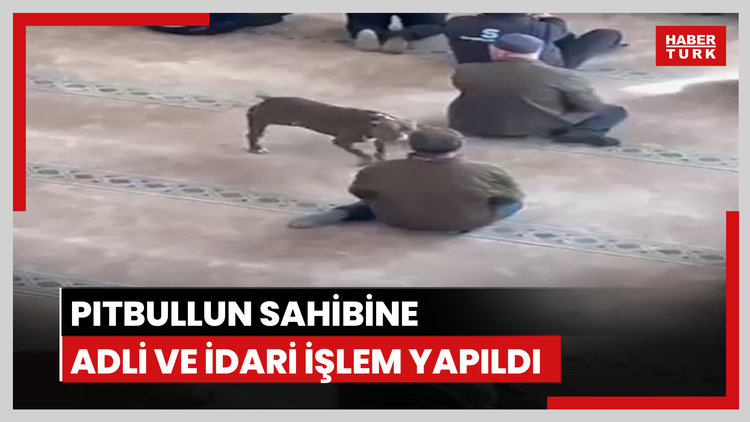 Camiye giren pitbullun sahibine adli ve idari işlem yapıldı
