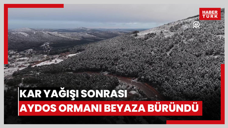 Kar yağışı sonrası Aydos Ormanı beyaza büründü