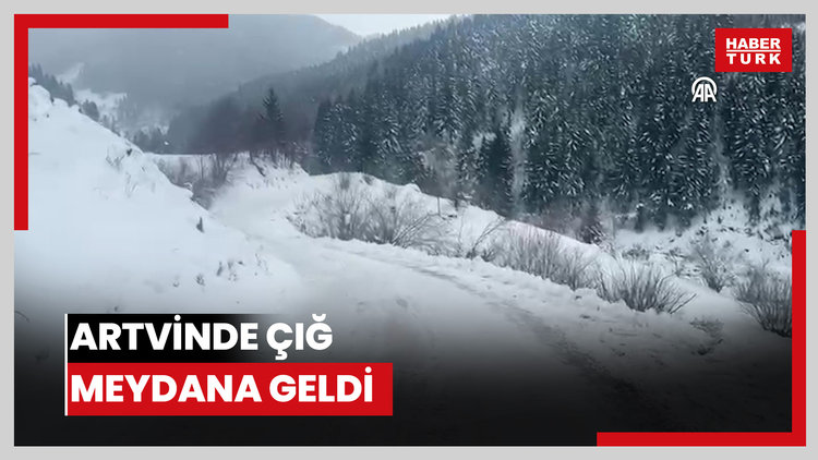 Artvinde çığ meydana geldi