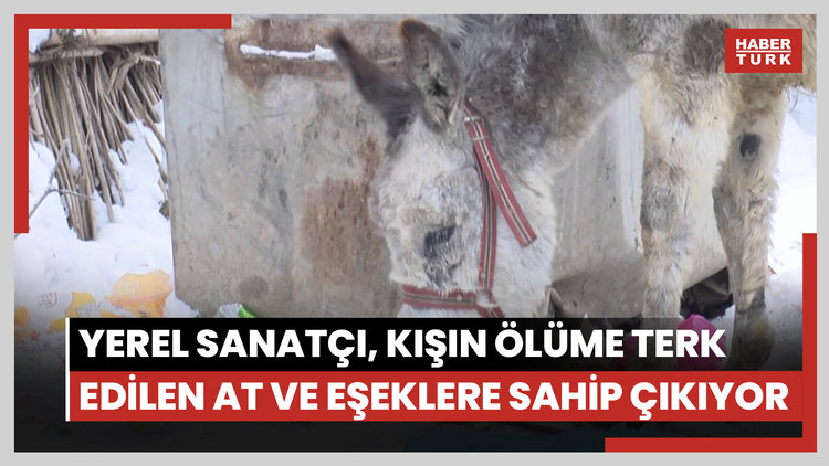 Muşlu yerel sanatçı, kışın ölüme terk edilen at ve eşeklere sahip çıkıyor
