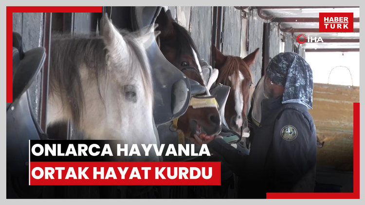 Ankara'da sıra dışı yaşam: Onlarca hayvanla ortak hayat kurdu