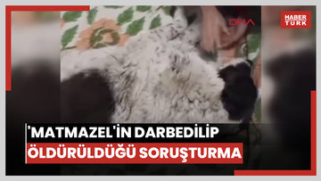  'Matmazel'in darbedilerek öldürüldüğü iddiasına soruşturma