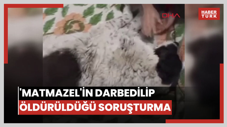 'Matmazel'in darbedilerek öldürüldüğü iddiasına soruşturma