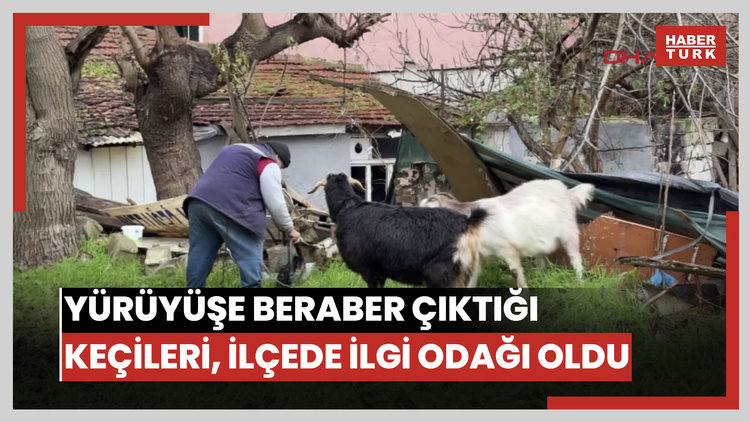 Yürüyüşe beraber çıktığı keçileri, ilçede ilgi odağı oldu