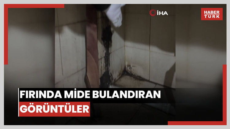 Fırında mide bulandıran görüntüler; her yerden böcek ve örümcek çıktı
