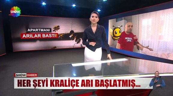 Arılar apartmana yuva yapmış!