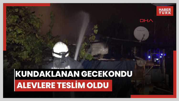 Kundaklanan gecekondu alevlere teslim oldu